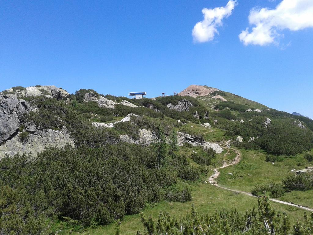 זוננאלפה נאספלד Alpenhotel Marcius מראה חיצוני תמונה