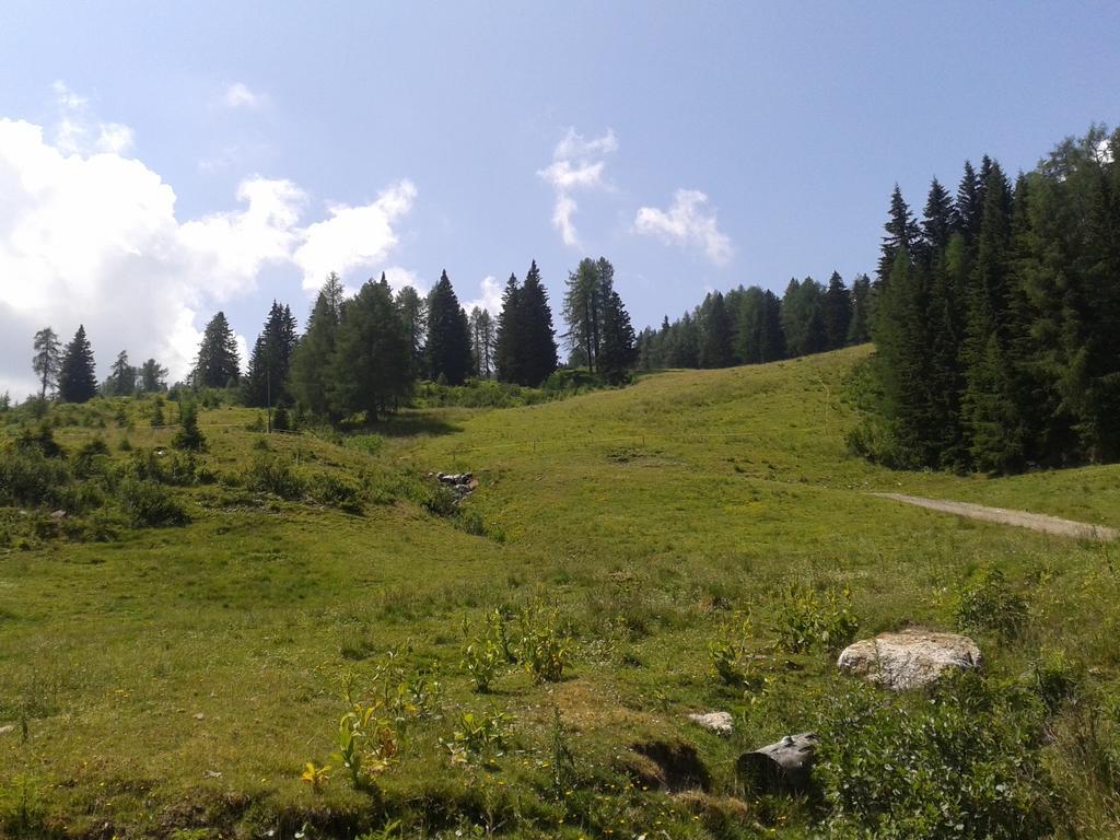 זוננאלפה נאספלד Alpenhotel Marcius מראה חיצוני תמונה